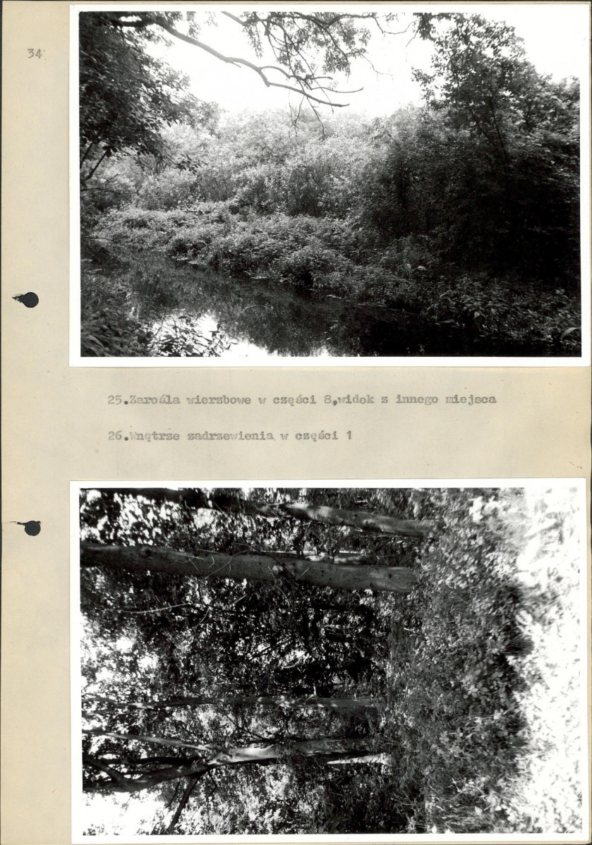EP - Ewidencja parkowa, skan nr 40