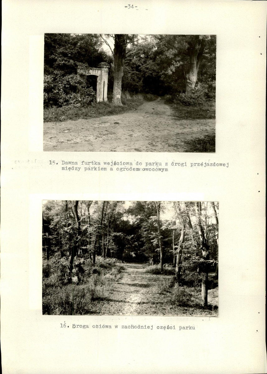 Ewidencja parkowa, skan nr 41