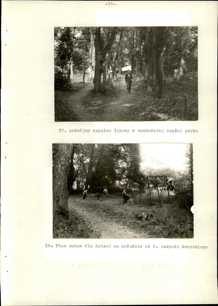 Ewidencja parkowa, skan nr 42