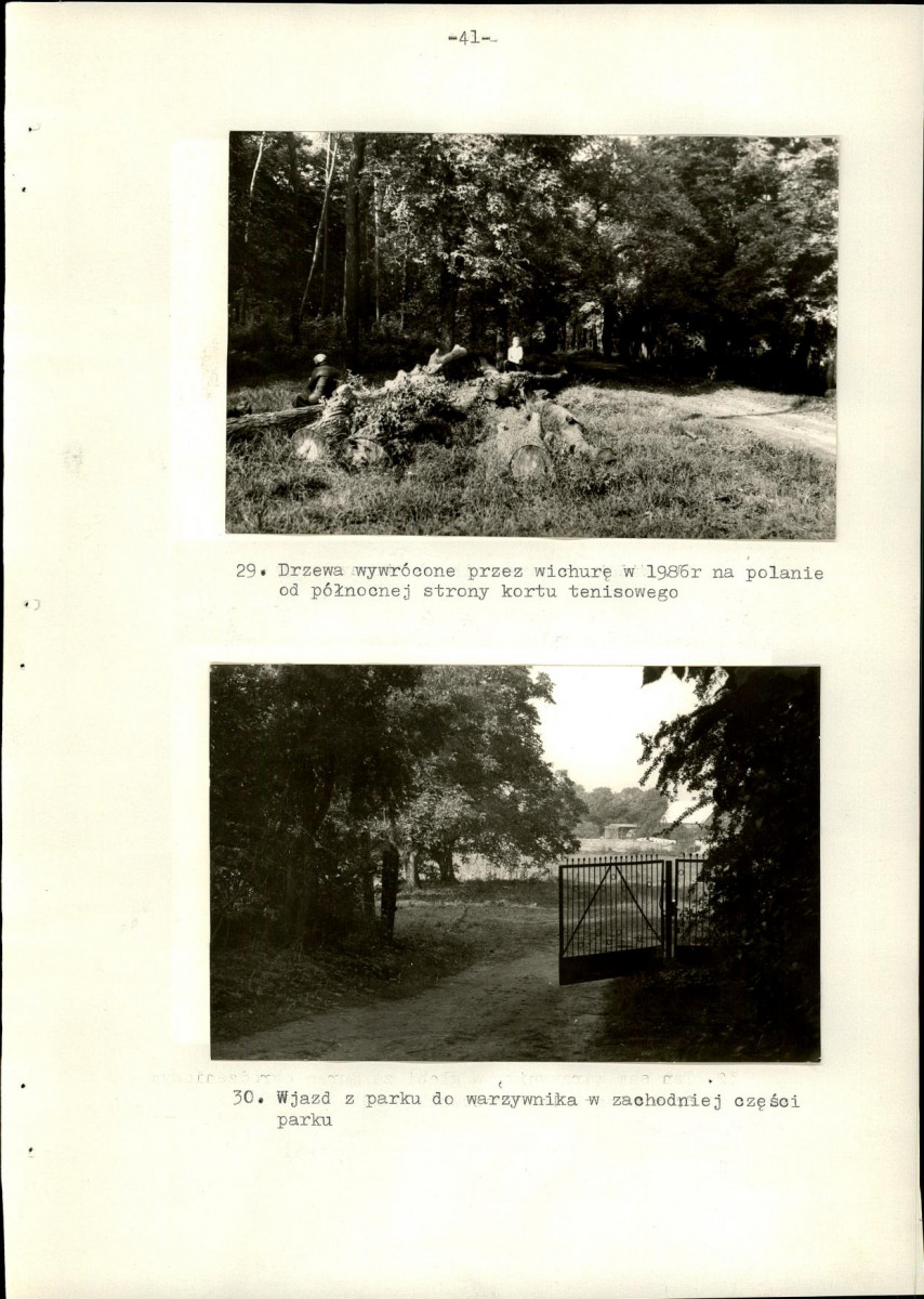 Ewidencja parkowa, skan nr 48