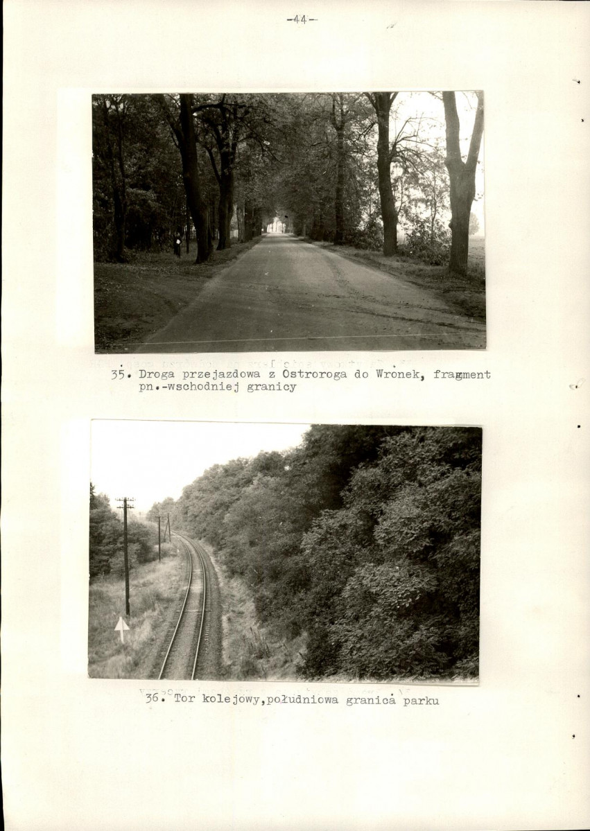 Ewidencja parkowa, skan nr 51