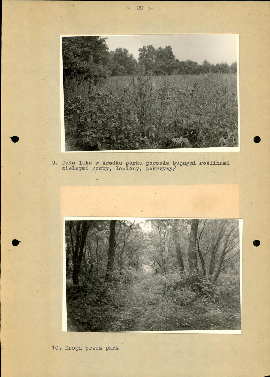 Ewidencja parkowa, skan nr 27