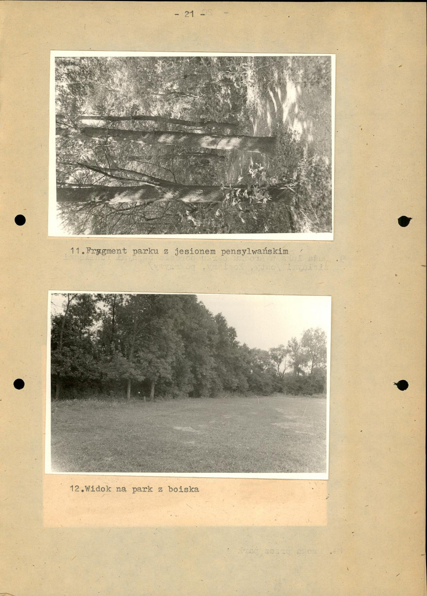 Ewidencja parkowa, skan nr 28