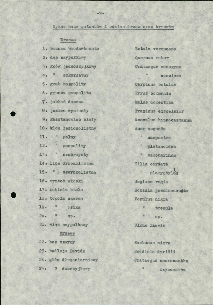 Ewidencja parkowa, skan nr 15