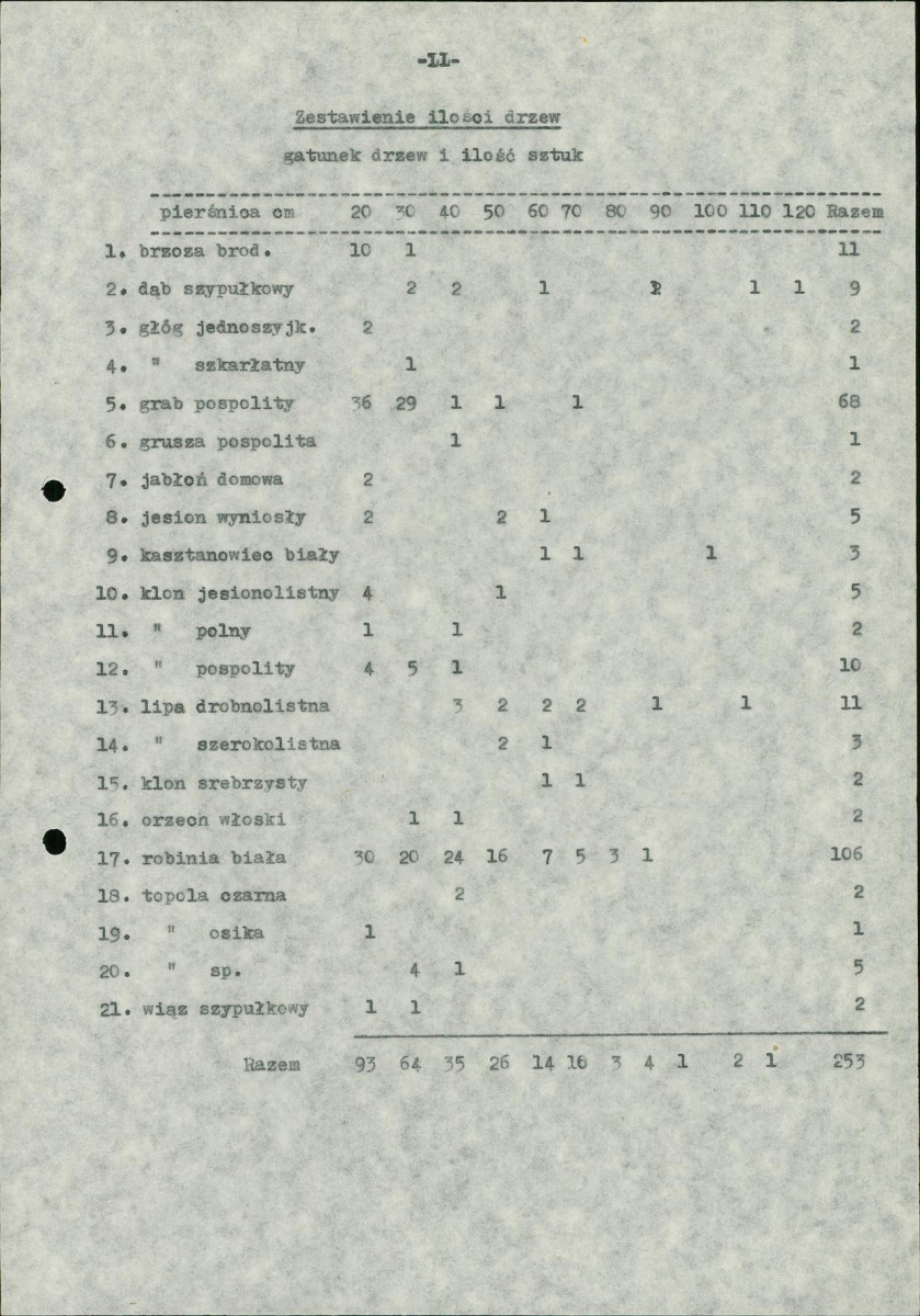 Ewidencja parkowa, skan nr 17