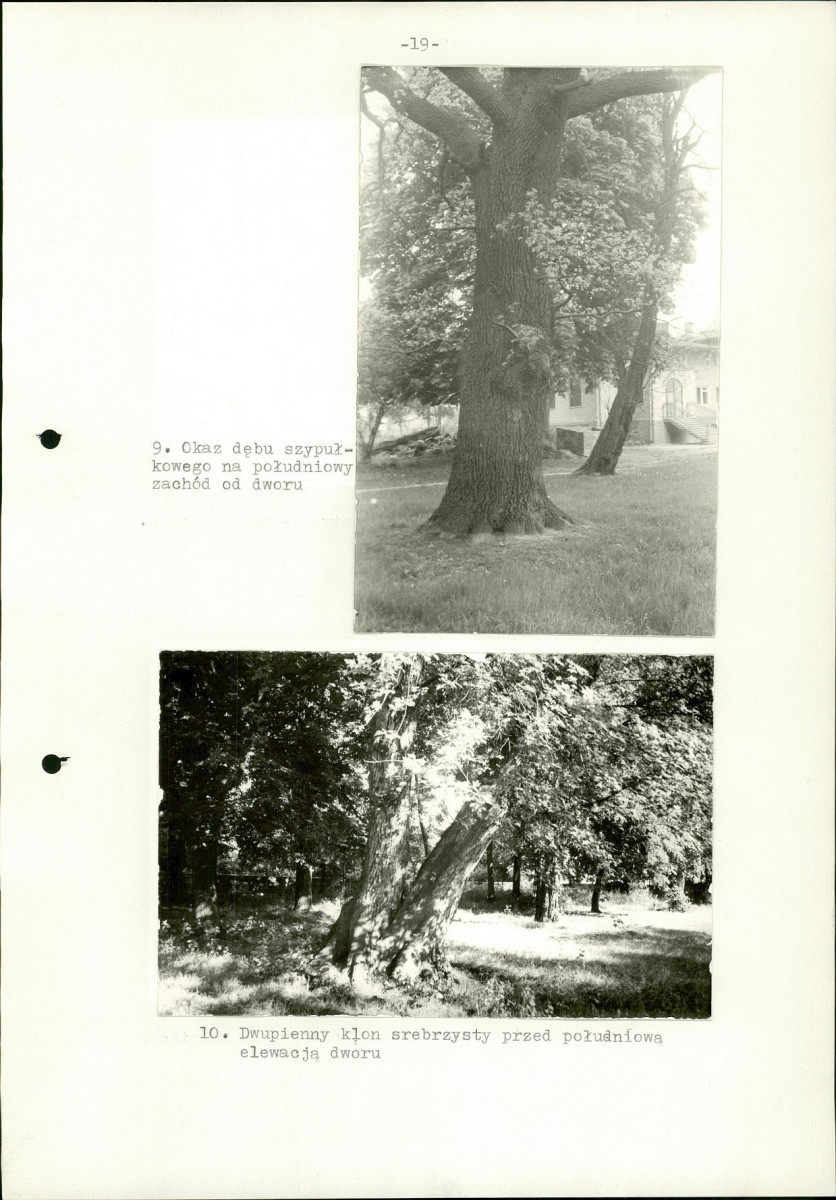 Ewidencja parkowa, skan nr 25