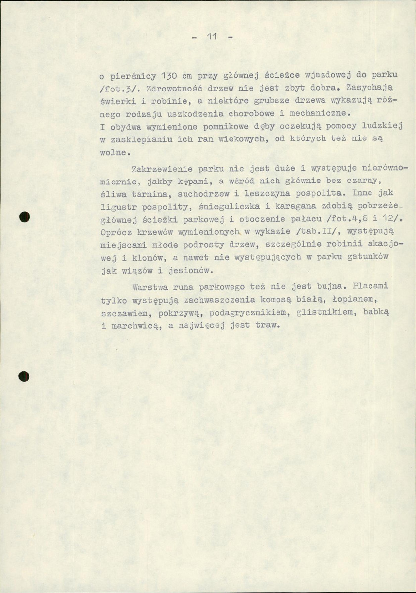 EP - Ewidencja parkowa, skan nr 17