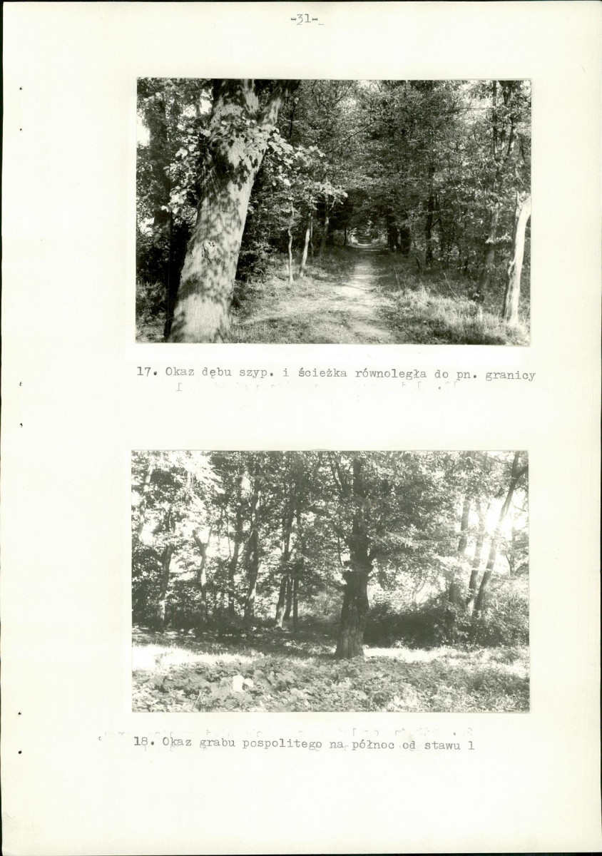 Ewidencja parkowa, skan nr 38