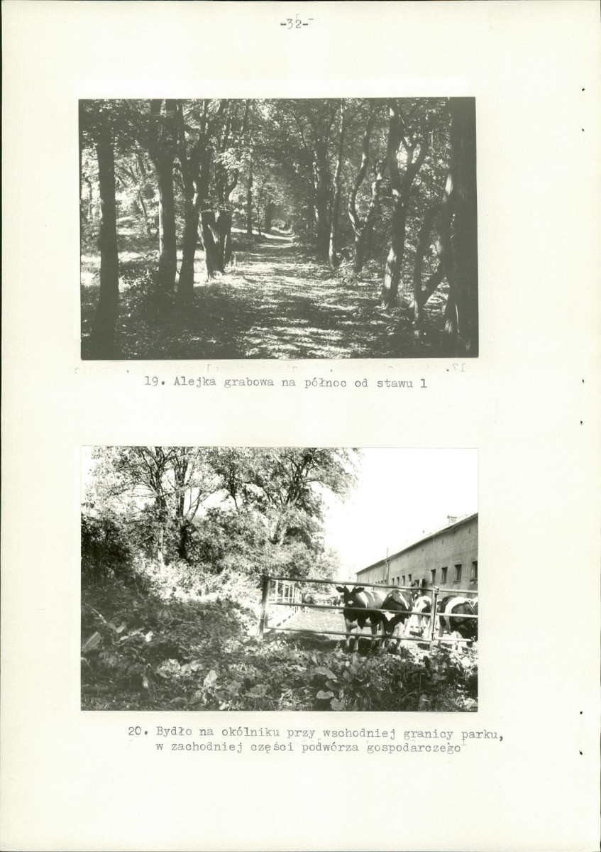 Ewidencja parkowa, skan nr 39