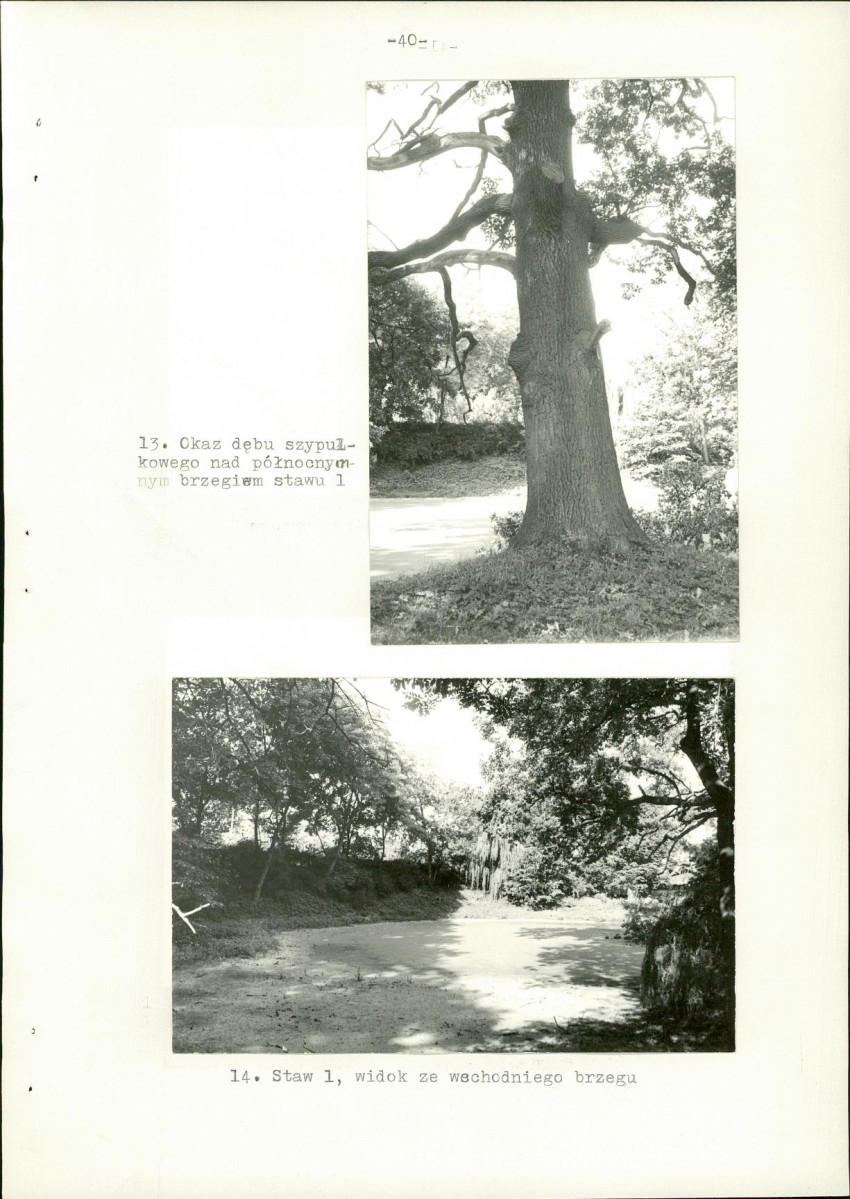Ewidencja parkowa, skan nr 48
