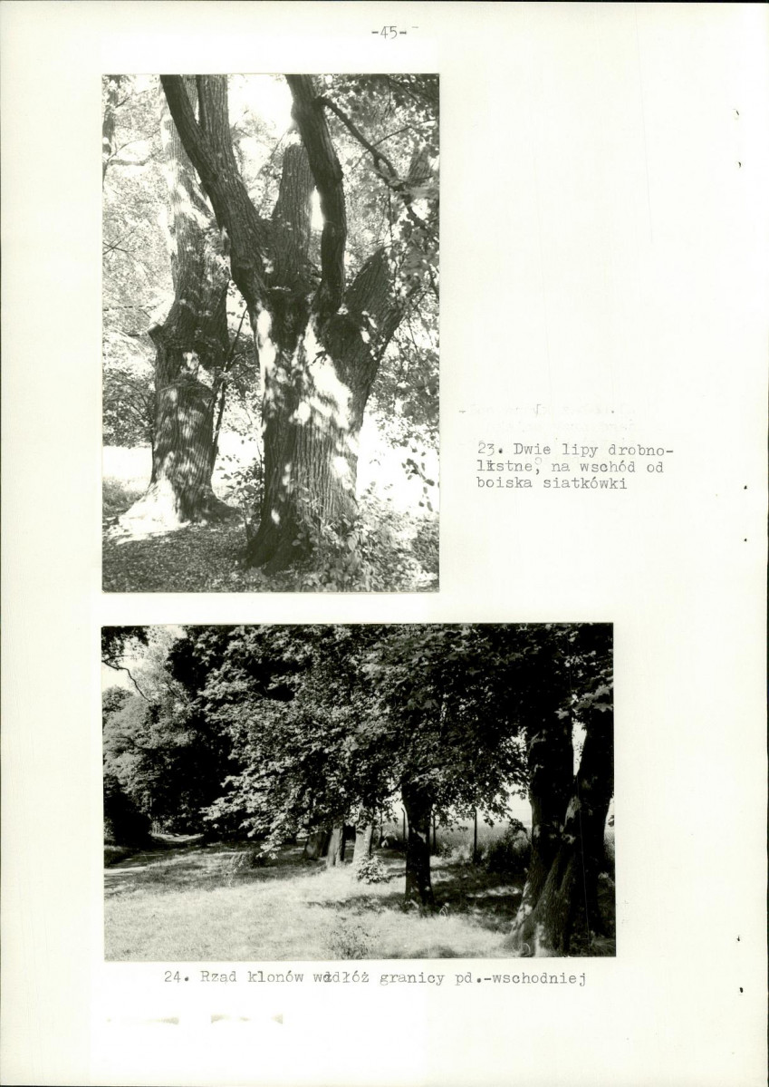 Ewidencja parkowa, skan nr 53