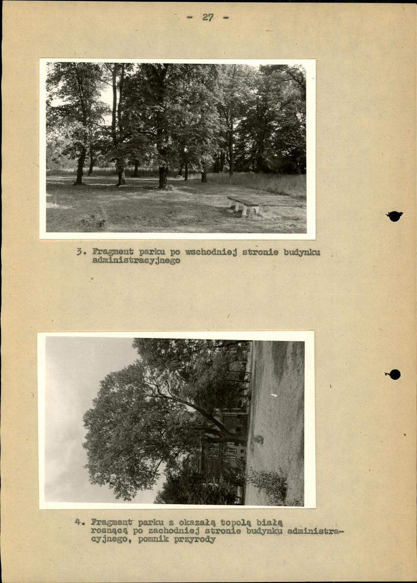 Ewidencja parkowa, skan nr 33