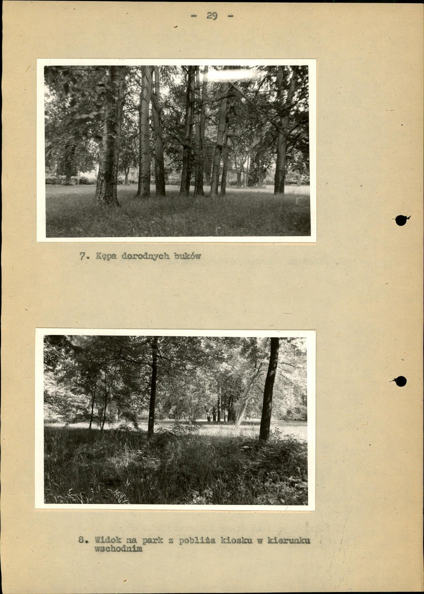 Ewidencja parkowa, skan nr 35