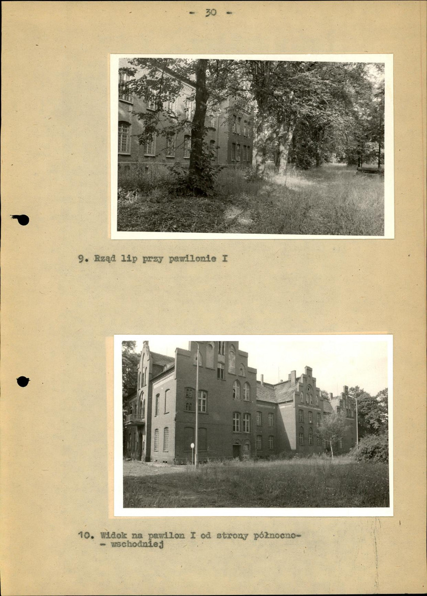 Ewidencja parkowa, skan nr 36