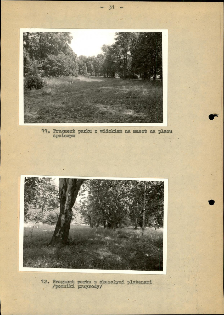 Ewidencja parkowa, skan nr 37