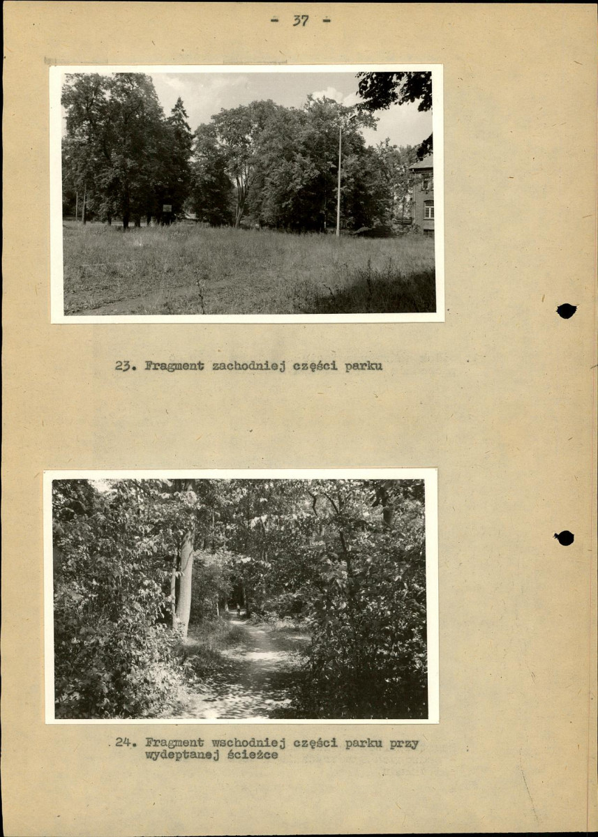 Ewidencja parkowa, skan nr 43