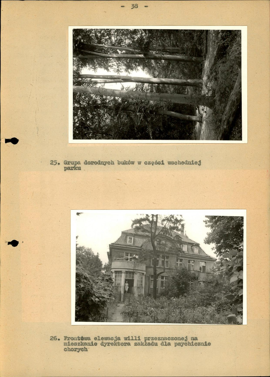 Ewidencja parkowa, skan nr 44