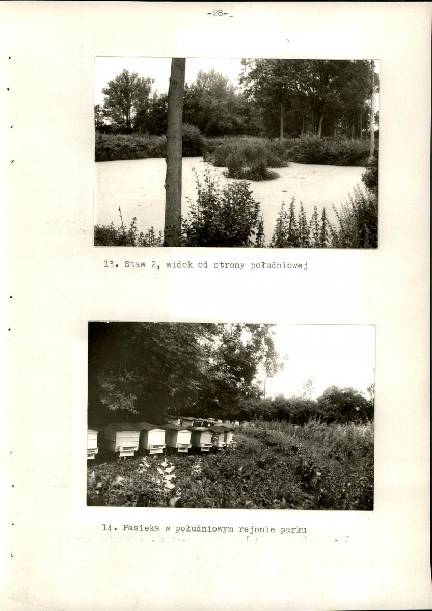 Ewidencja parkowa, skan nr 36