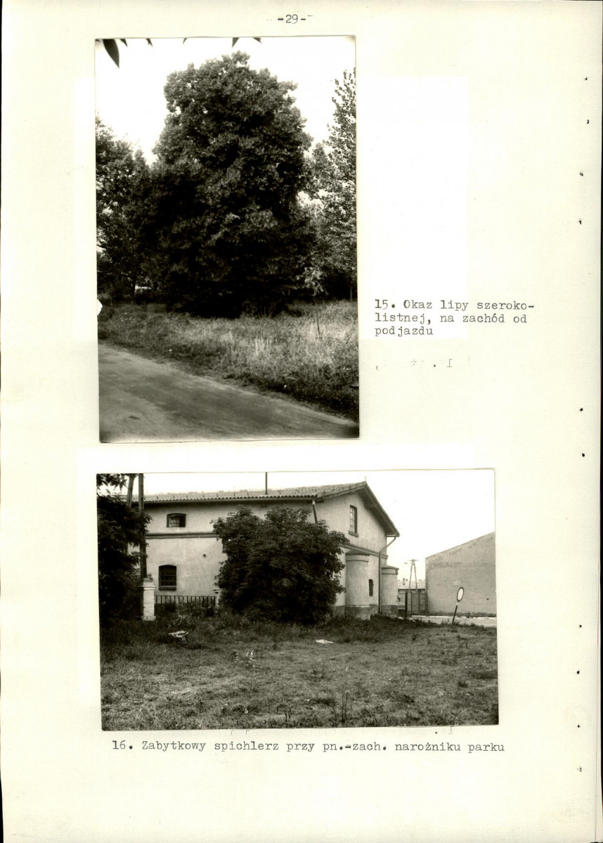 Ewidencja parkowa, skan nr 37