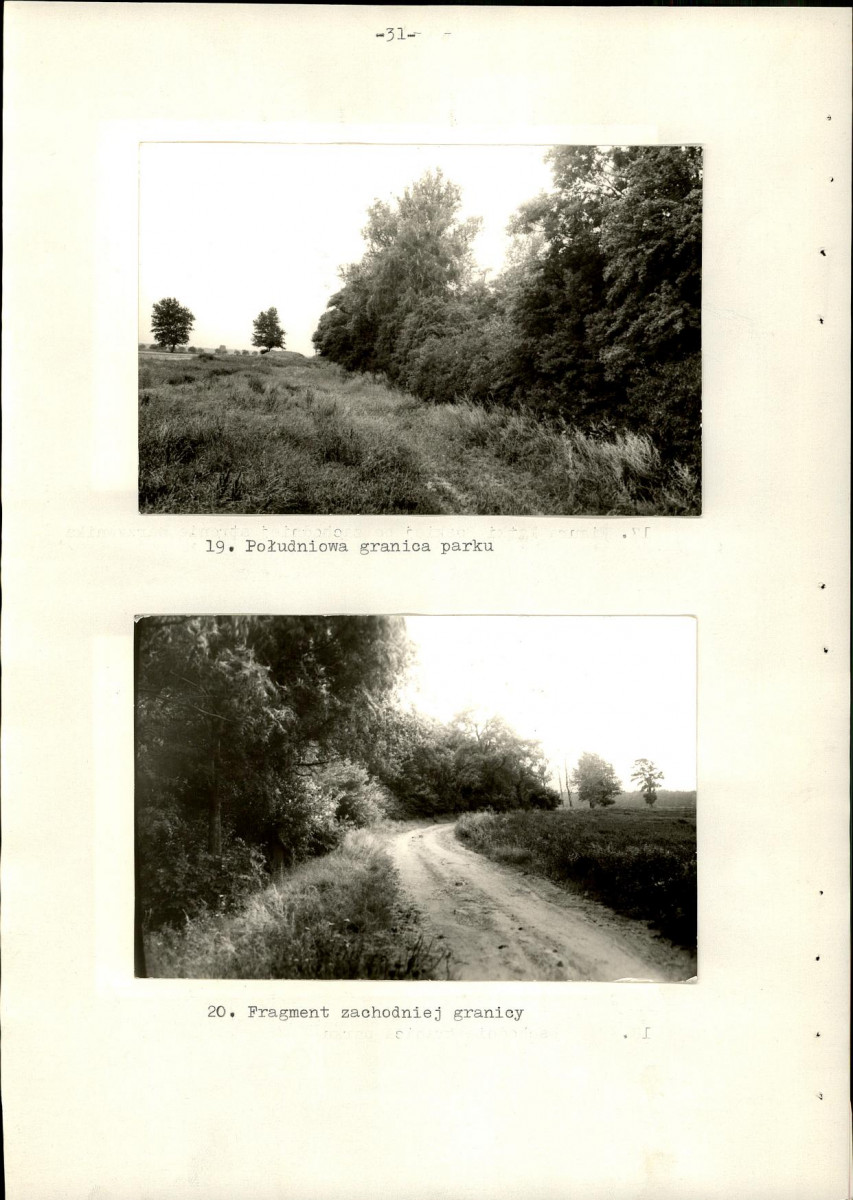 Ewidencja parkowa, skan nr 39