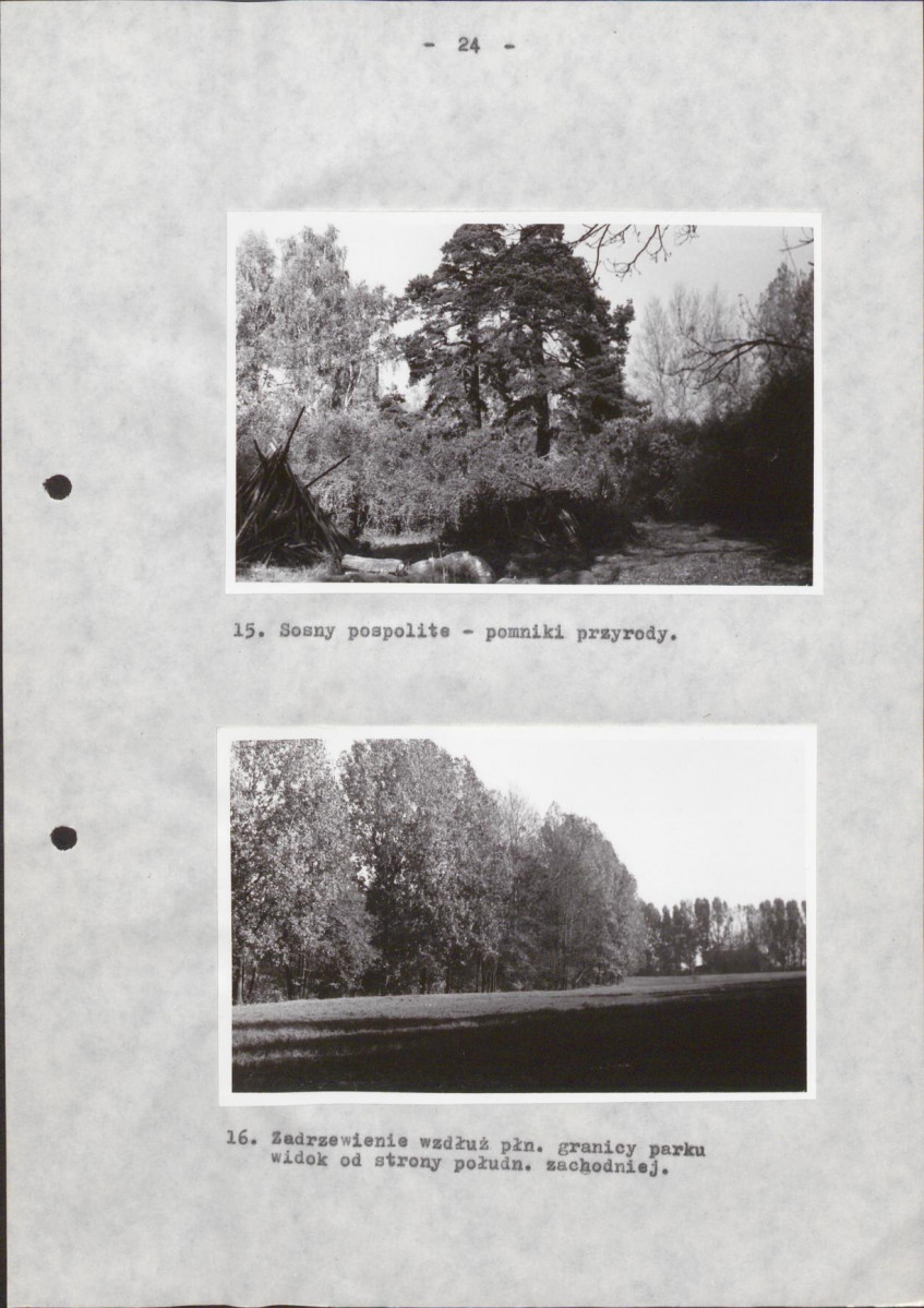 Ewidencja parkowa, skan nr 32
