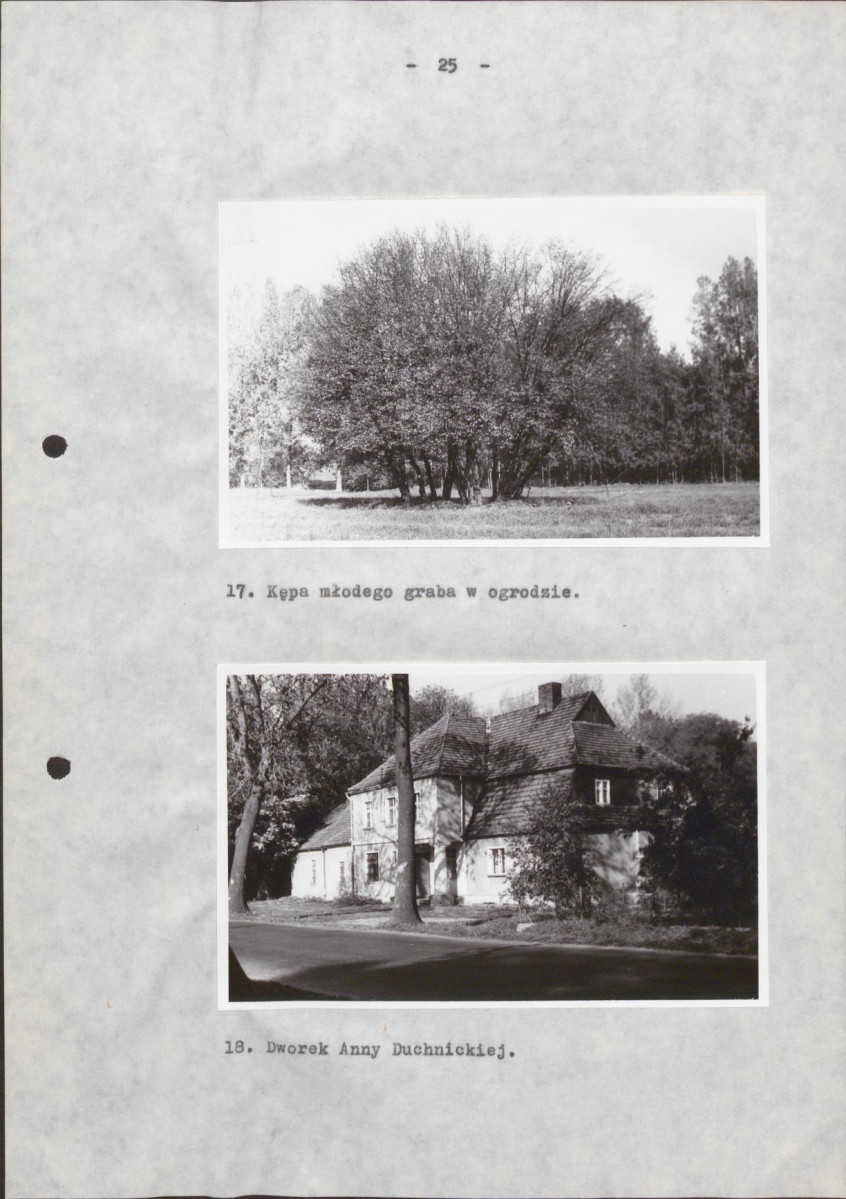 Ewidencja parkowa, skan nr 33