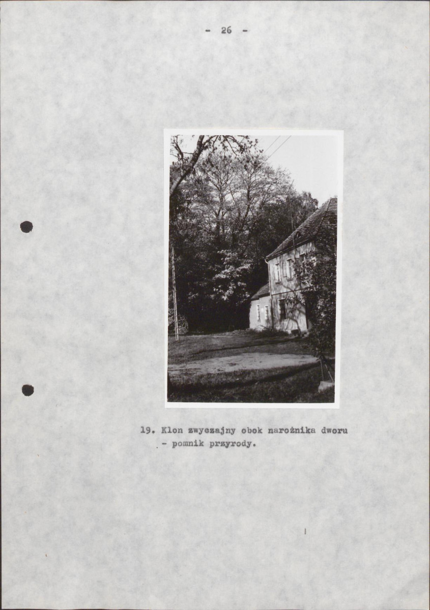Ewidencja parkowa, skan nr 34
