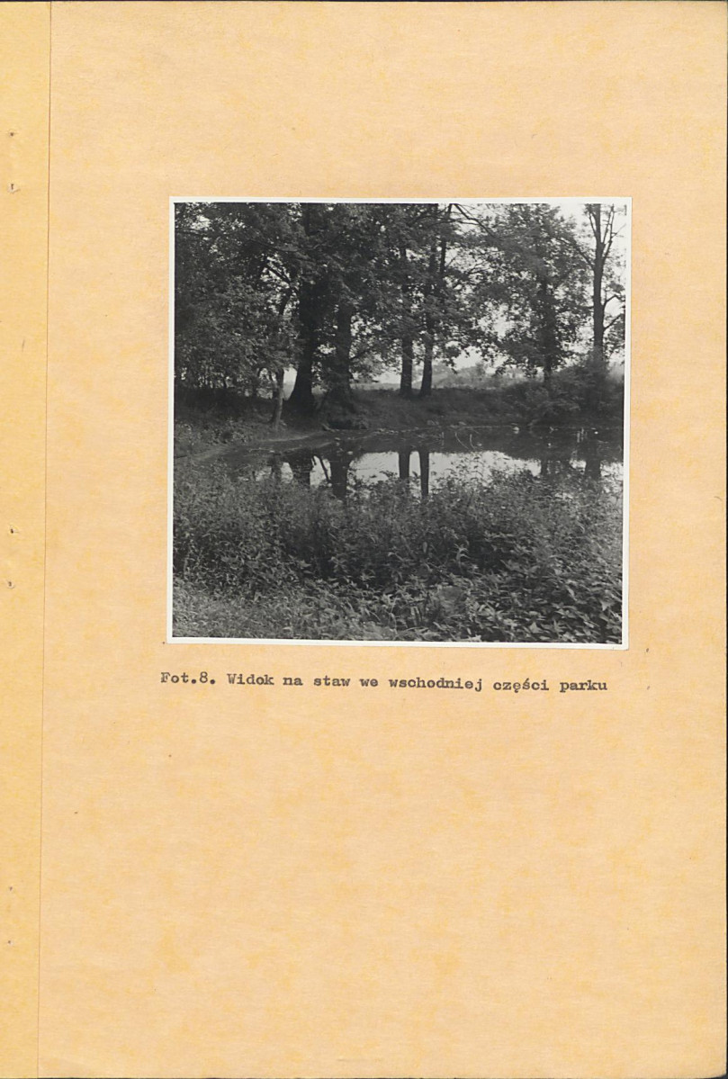 Ewidencja parkowa, skan nr 33