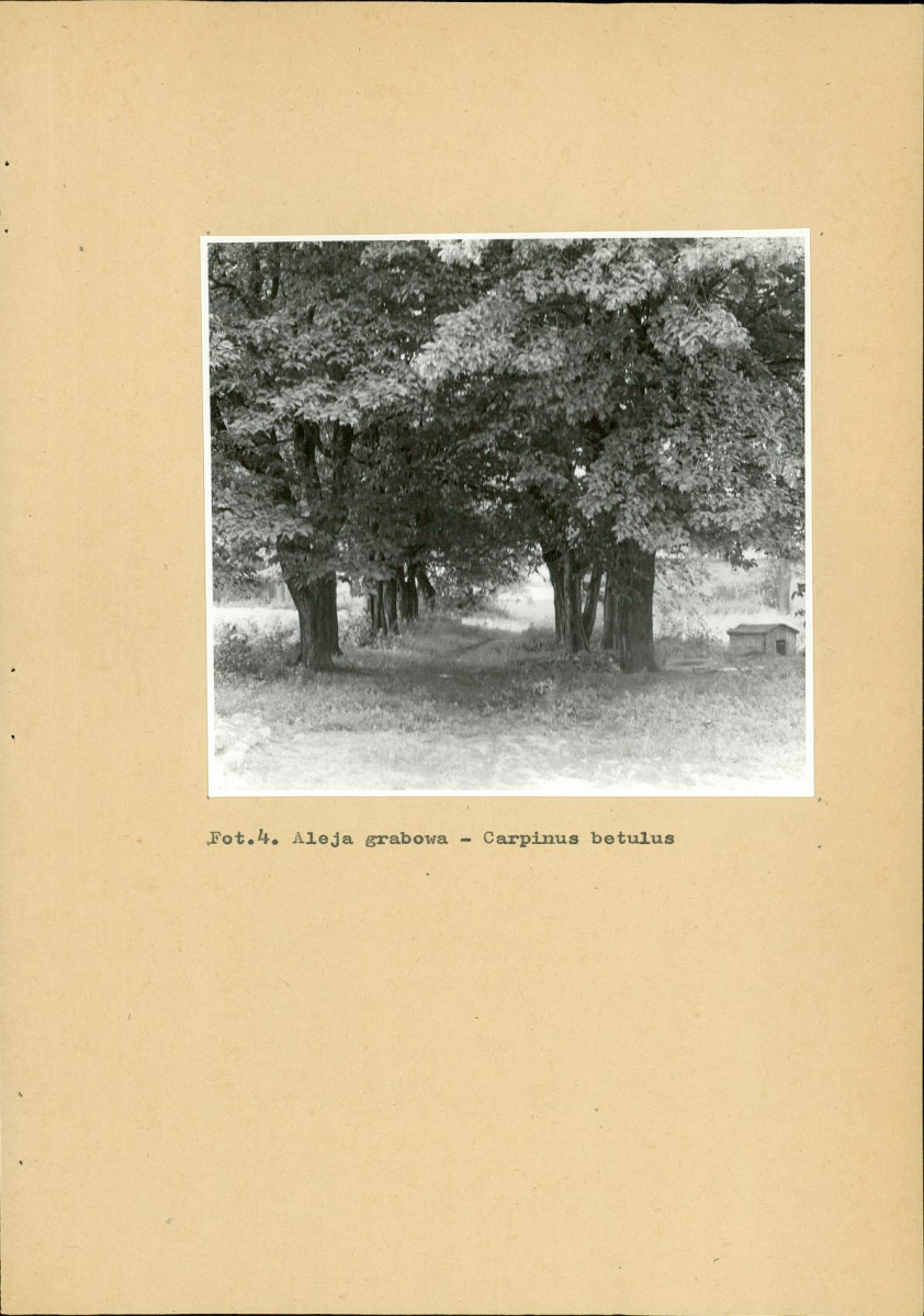 EP - Ewidencja parkowa, skan nr 25