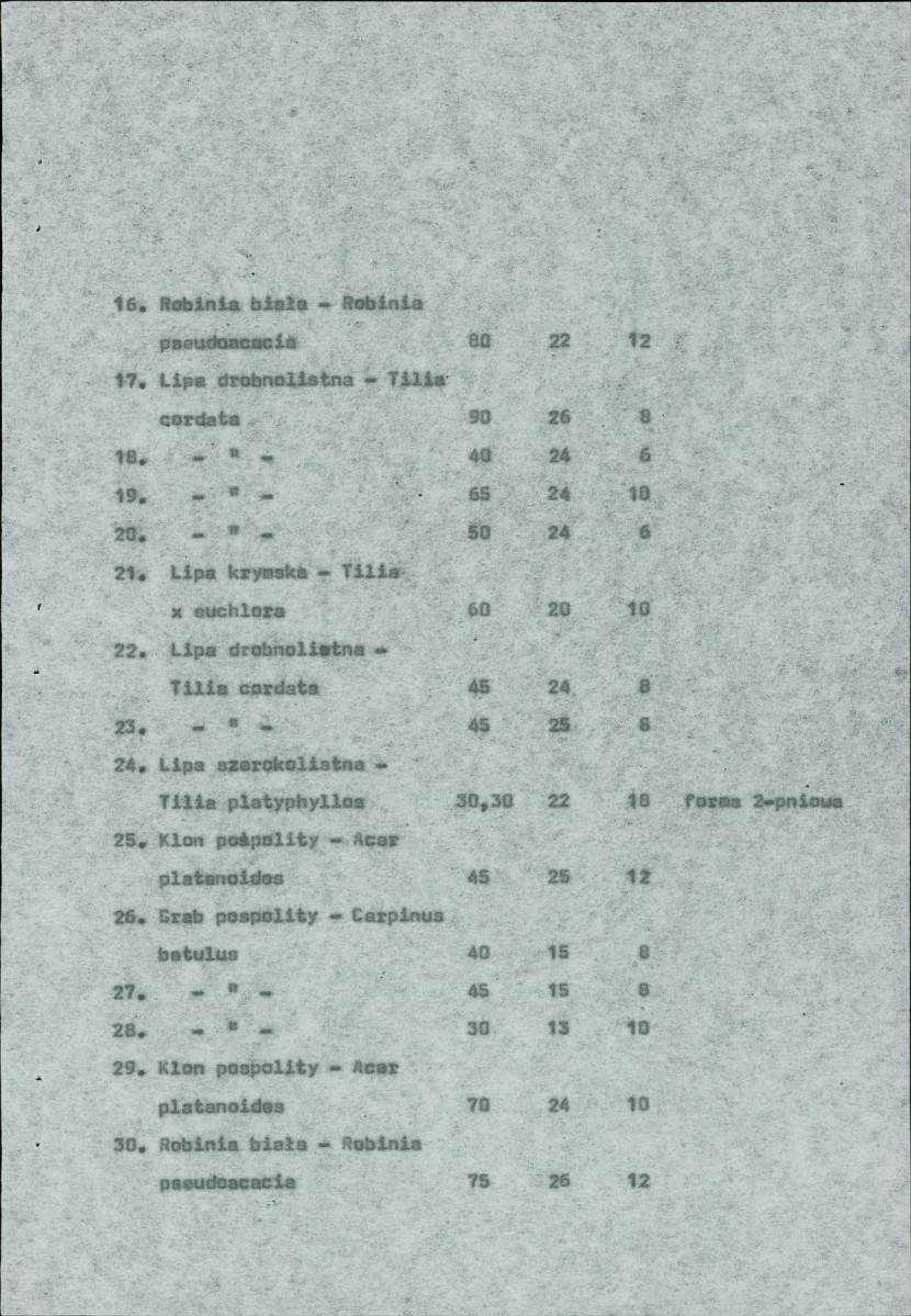 Ewidencja parkowa, skan nr 16