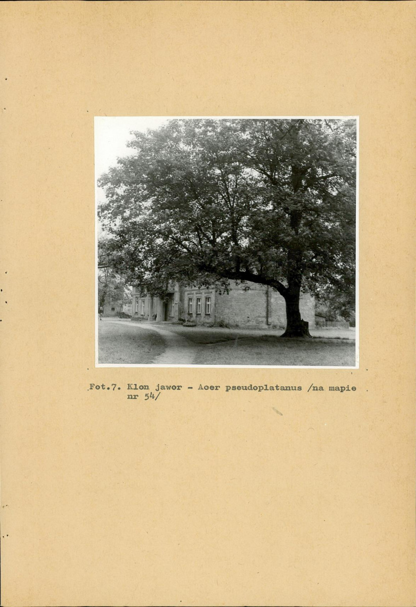 EP - Ewidencja parkowa, skan nr 38