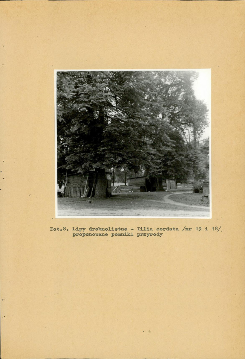 EP - Ewidencja parkowa, skan nr 39