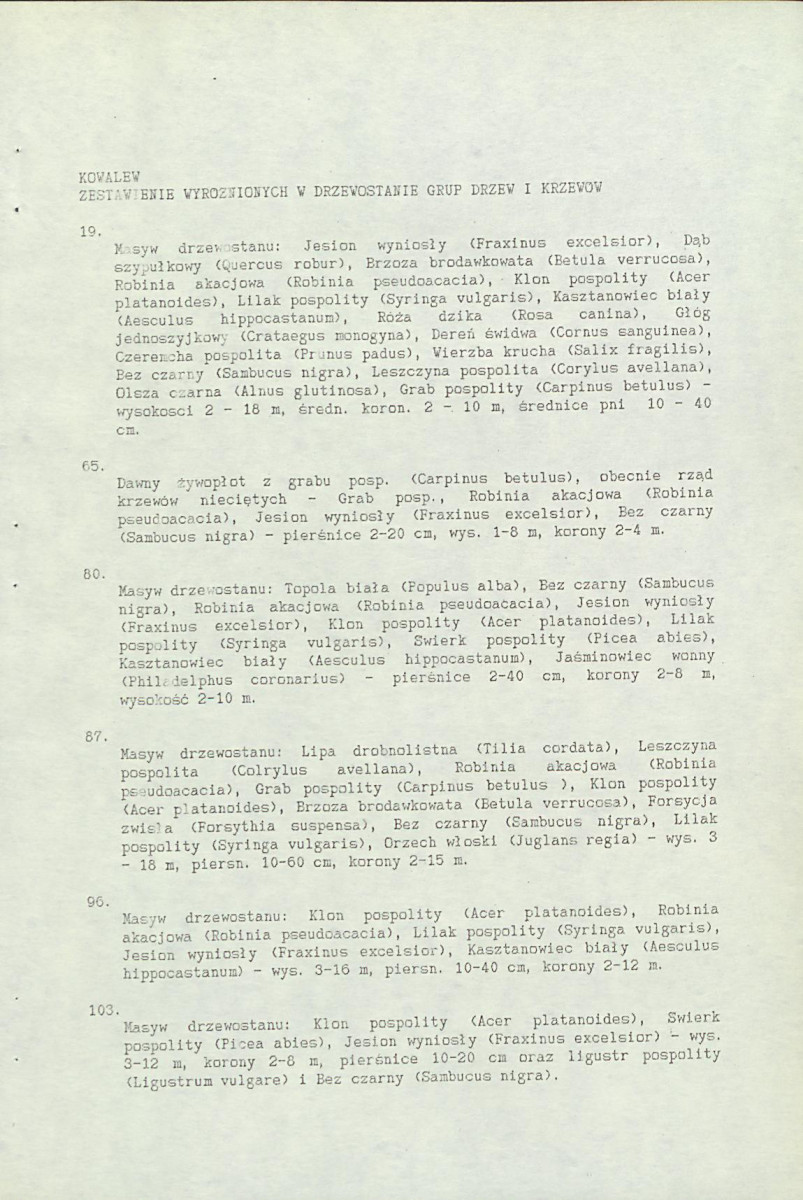 EP - Ewidencja parkowa, skan nr 21