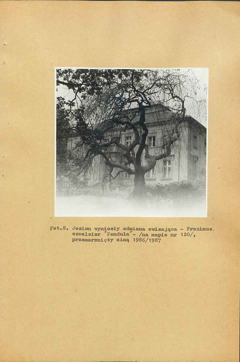 EP - Ewidencja parkowa, skan nr 34