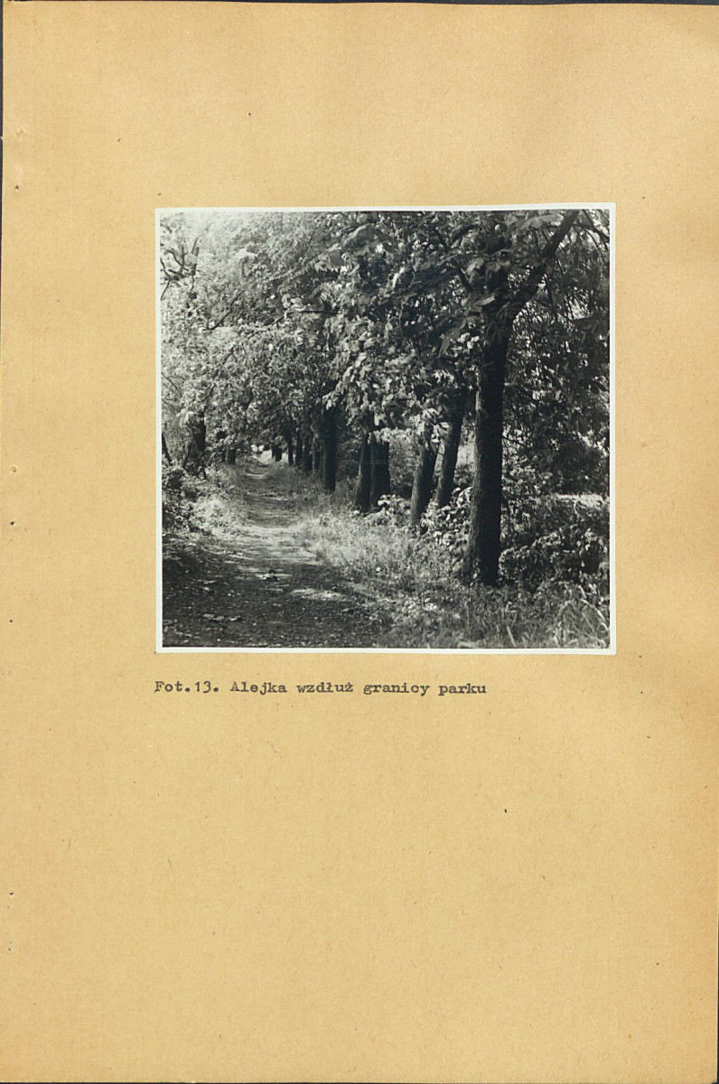 EP - Ewidencja parkowa, skan nr 39