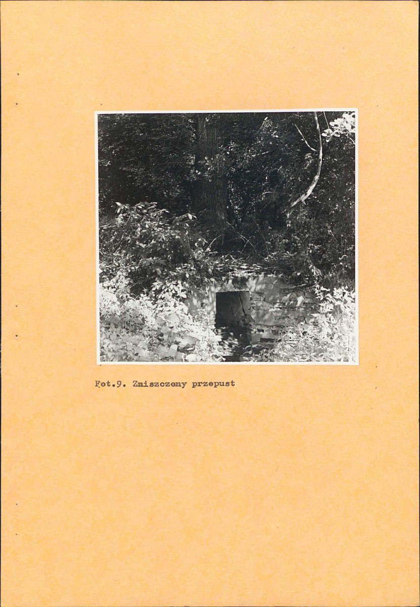 EP - Ewidencja parkowa, skan nr 30