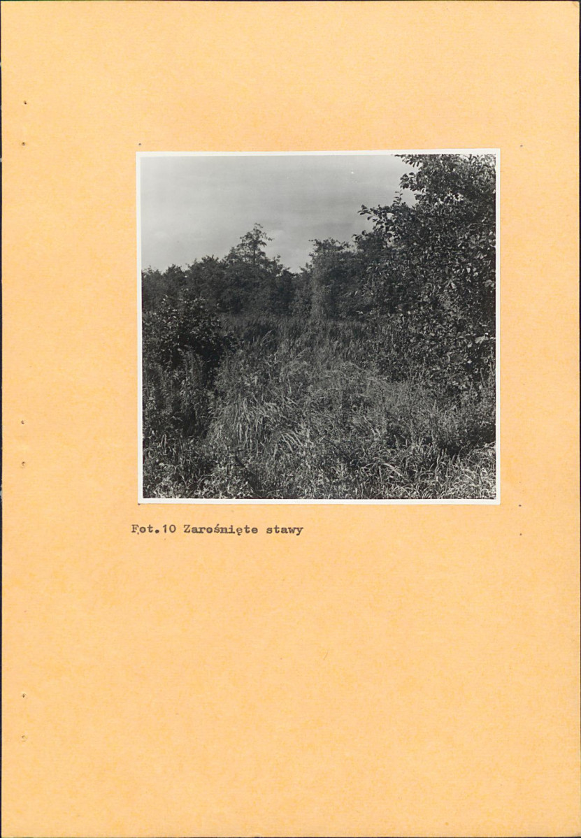 EP - Ewidencja parkowa, skan nr 31