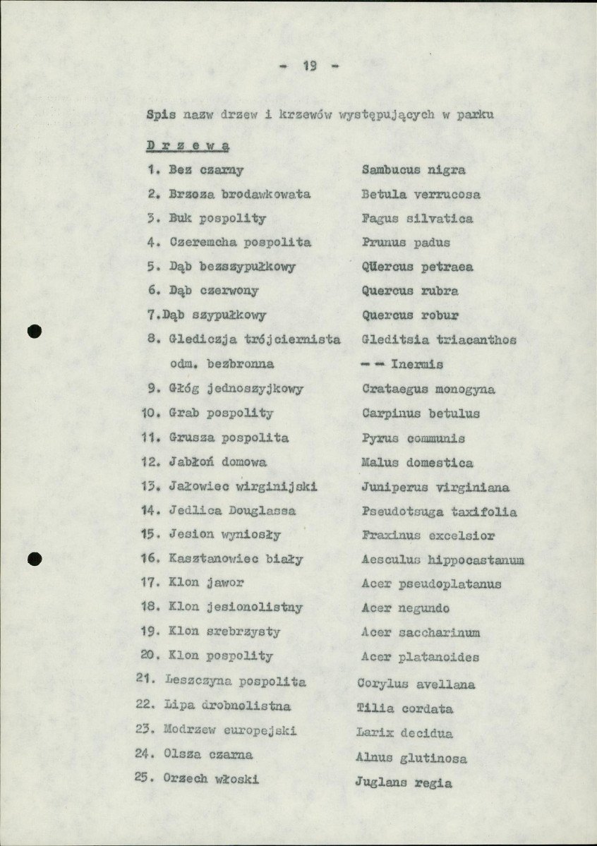 Ewidencja parkowa, skan nr 26
