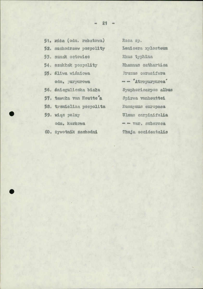 Ewidencja parkowa, skan nr 28