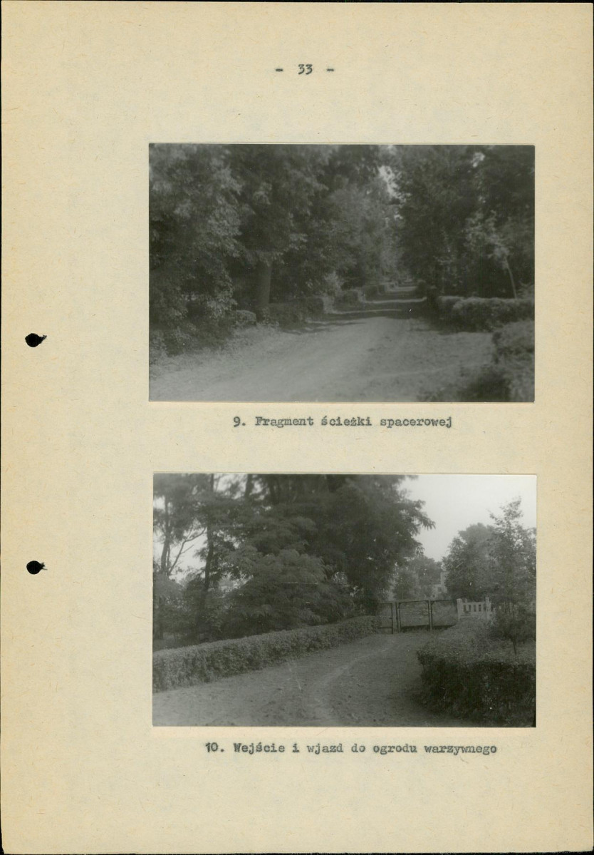 Ewidencja parkowa, skan nr 40