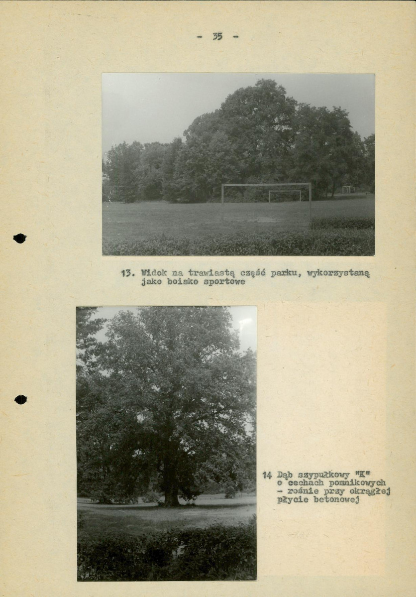 Ewidencja parkowa, skan nr 42