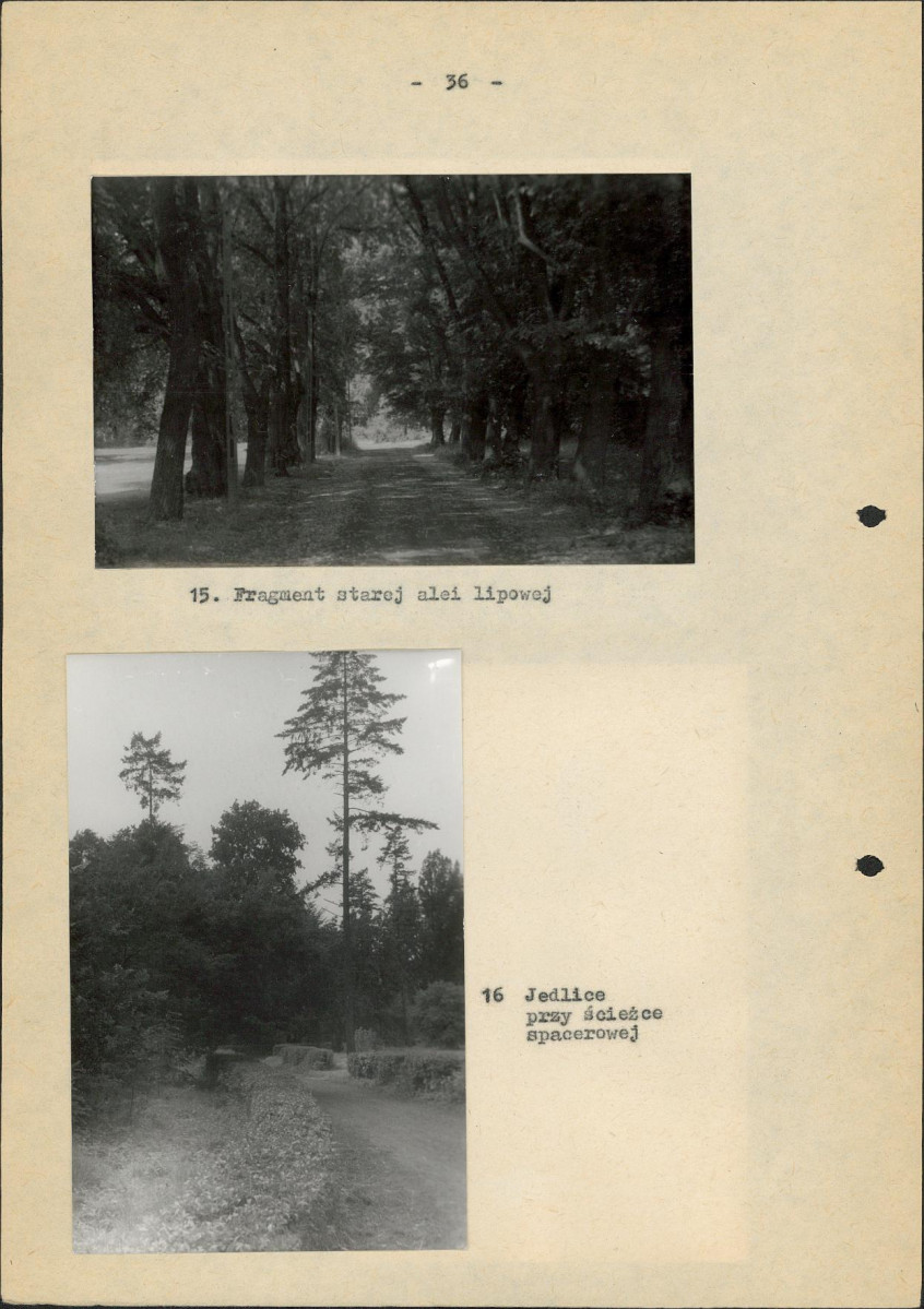 Ewidencja parkowa, skan nr 43