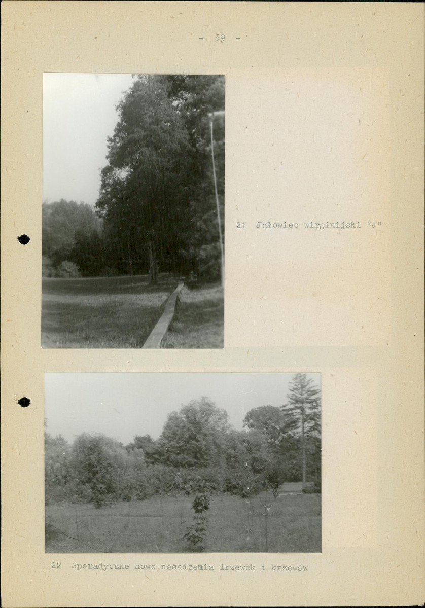 Ewidencja parkowa, skan nr 46