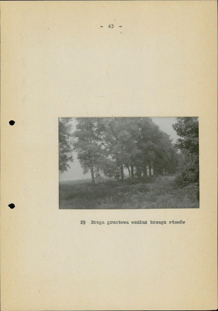 Ewidencja parkowa, skan nr 50