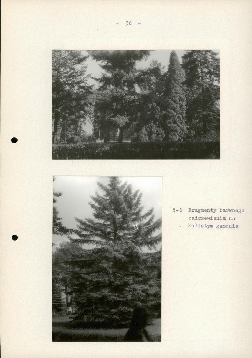 EP - Ewidencja parkowa, skan nr 43