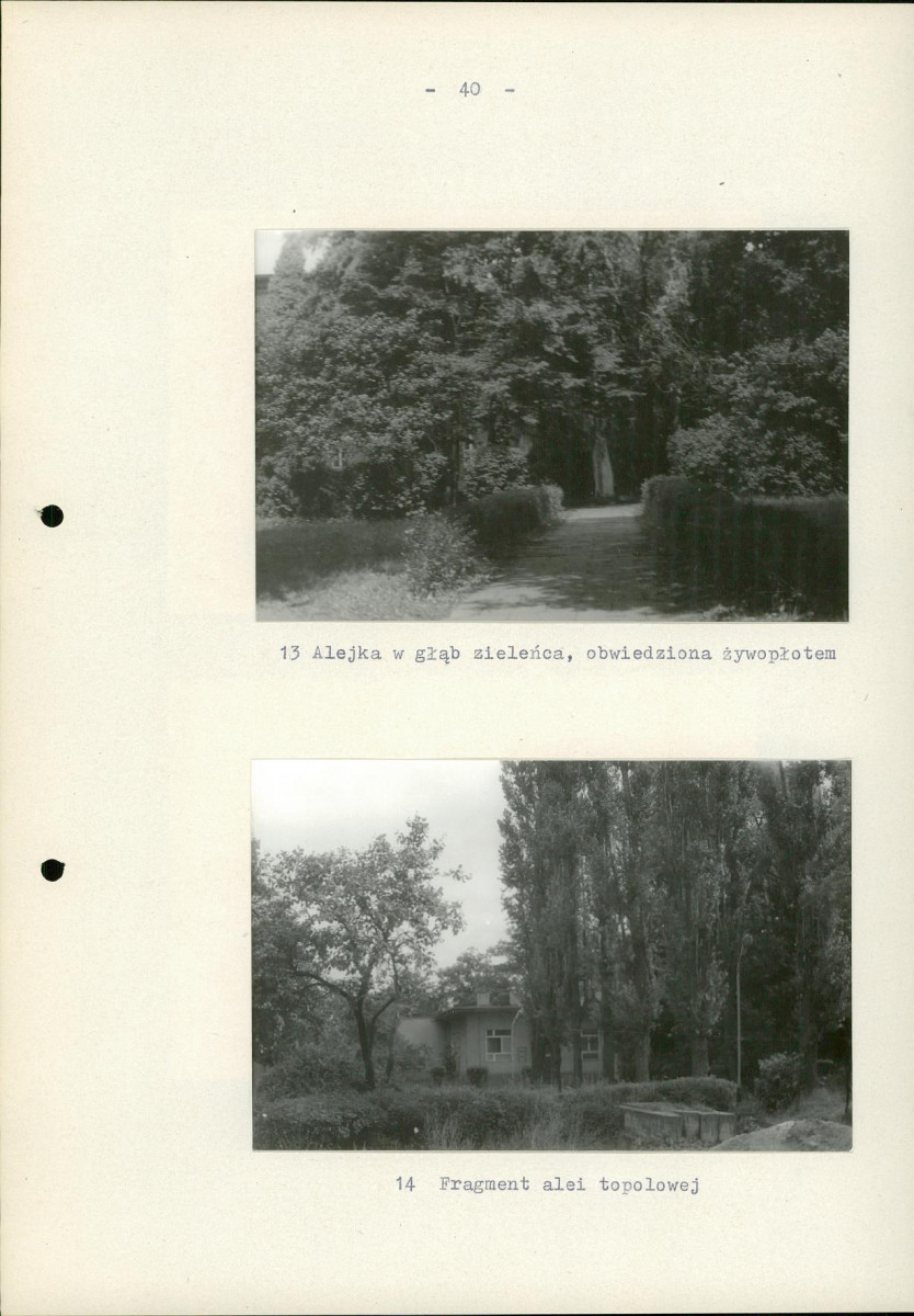 EP - Ewidencja parkowa, skan nr 47