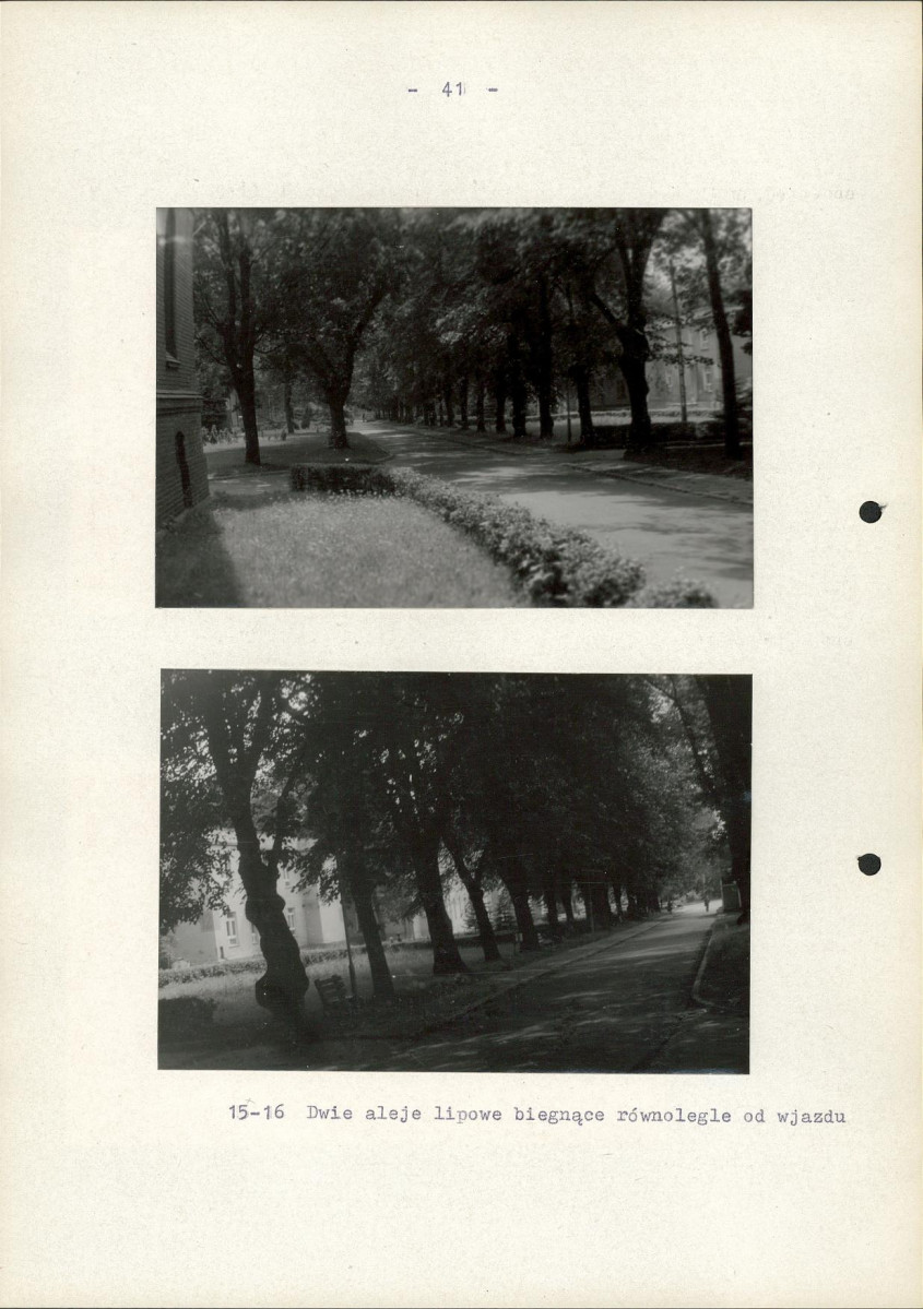 EP - Ewidencja parkowa, skan nr 48