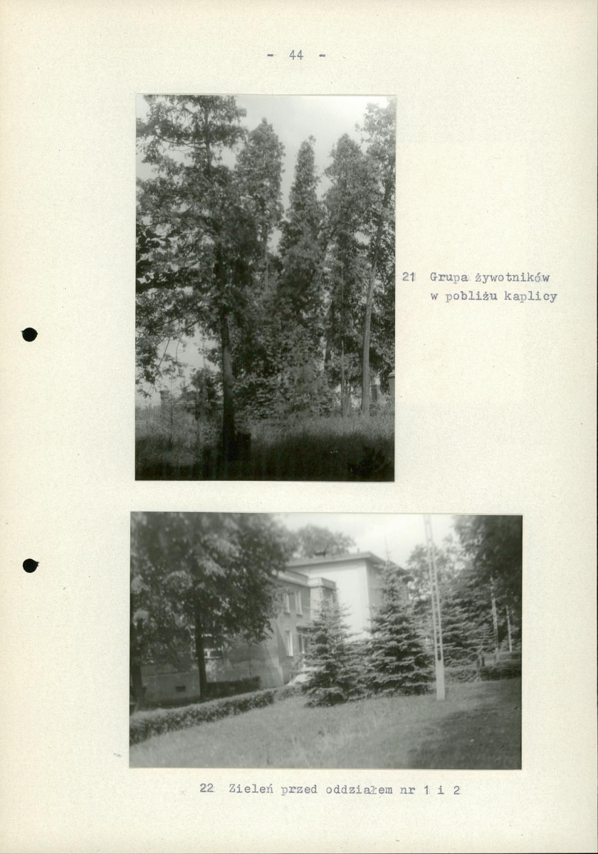 EP - Ewidencja parkowa, skan nr 51