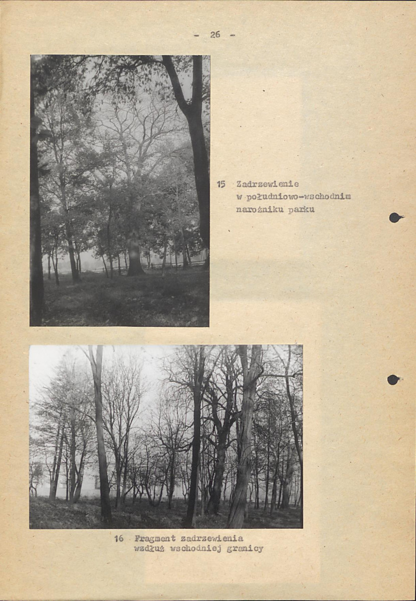 EP - Ewidencja parkowa, skan nr 33