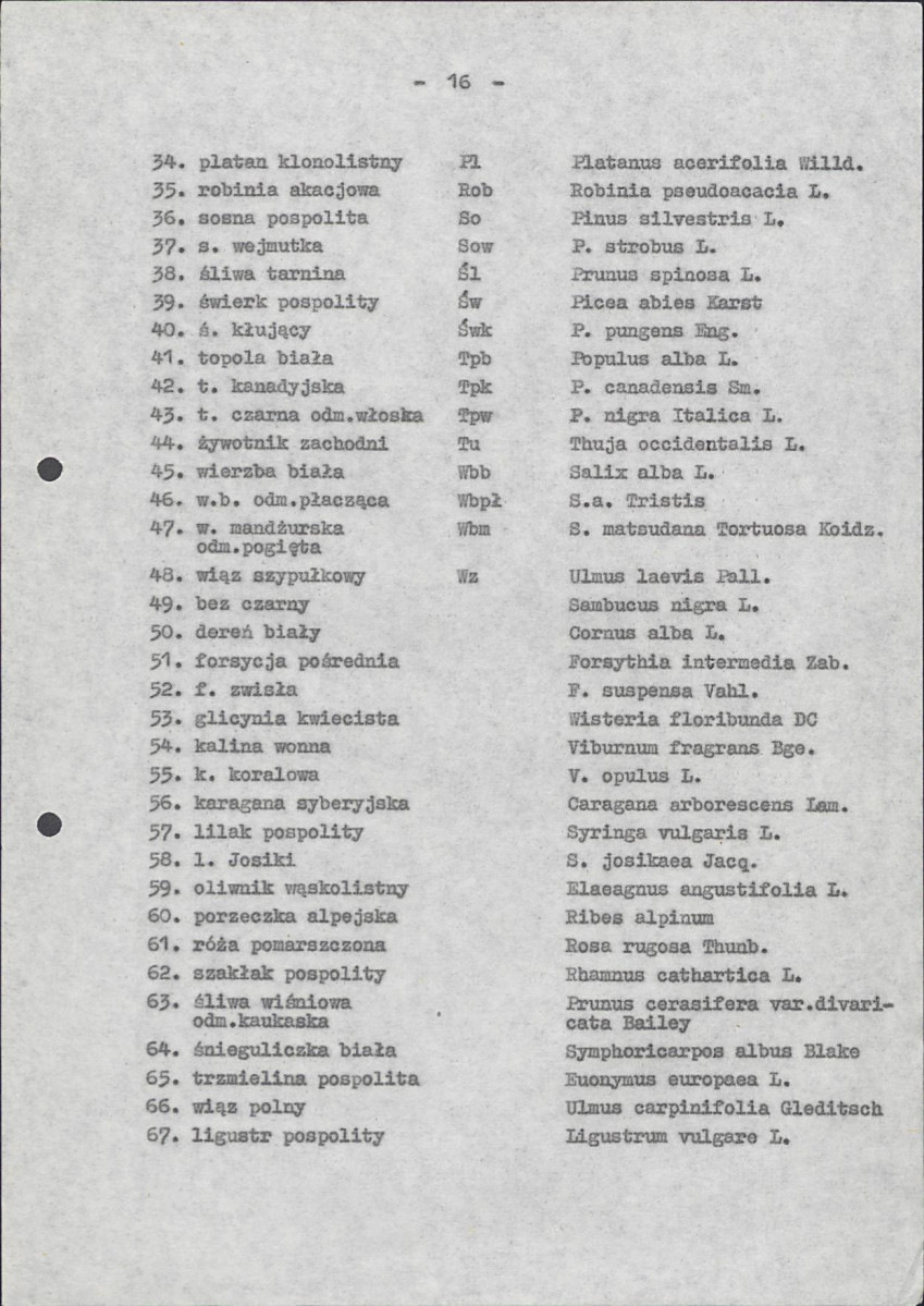 EP - Ewidencja parkowa, skan nr 23